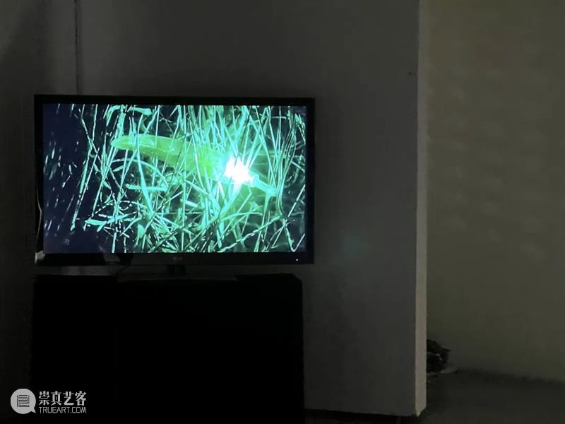 初次·访谈 | 郭慧:你相信梦吗? 博文精选 悦·美术馆 崇真艺客
